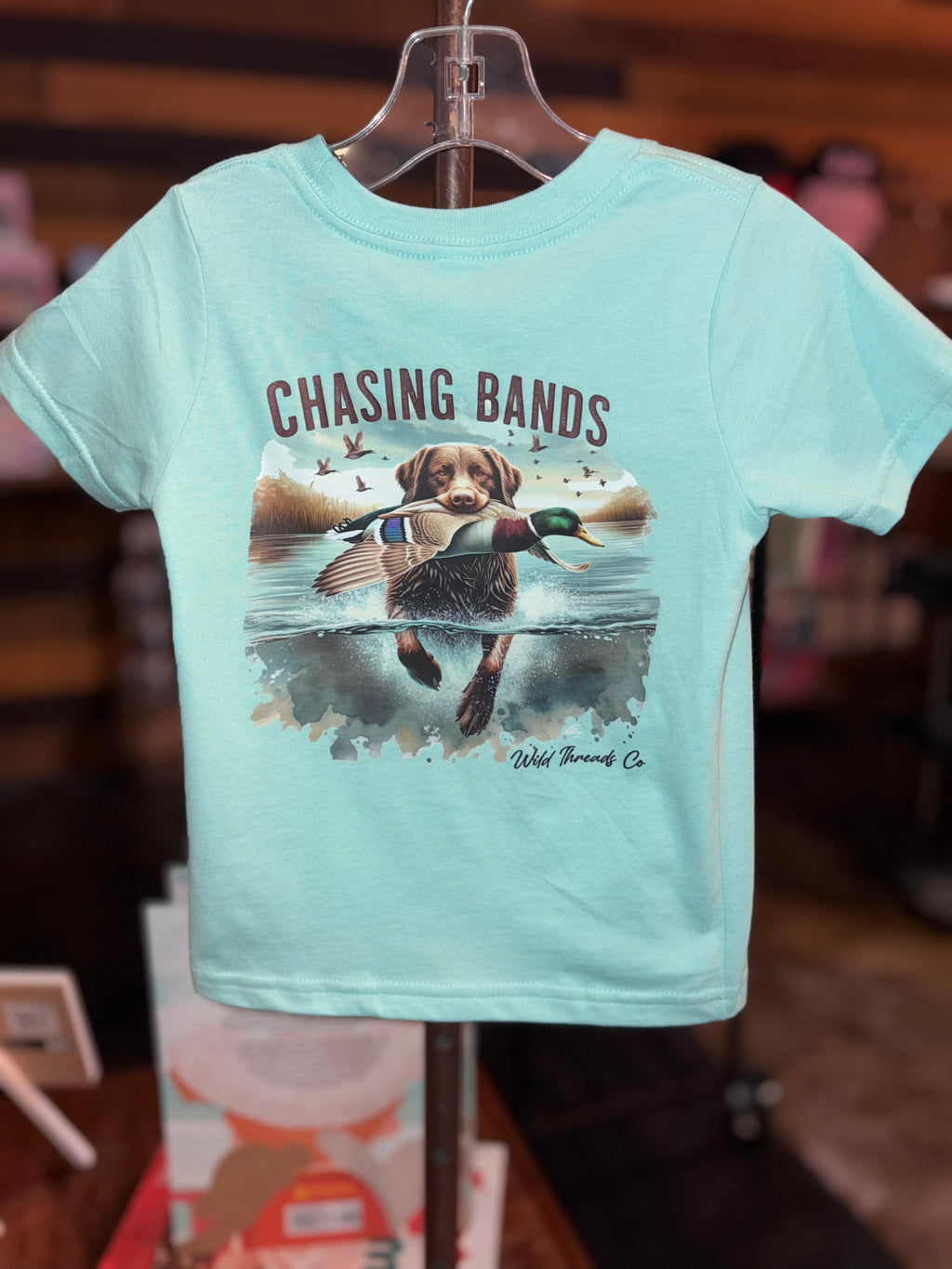 Chasing Bands