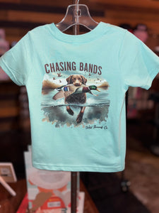 Chasing Bands